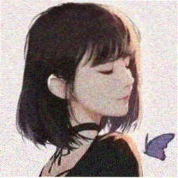 用户冷杉头像